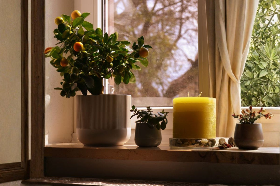 Why Citrus Candles Are Top Sellers in America..You will be Surprised