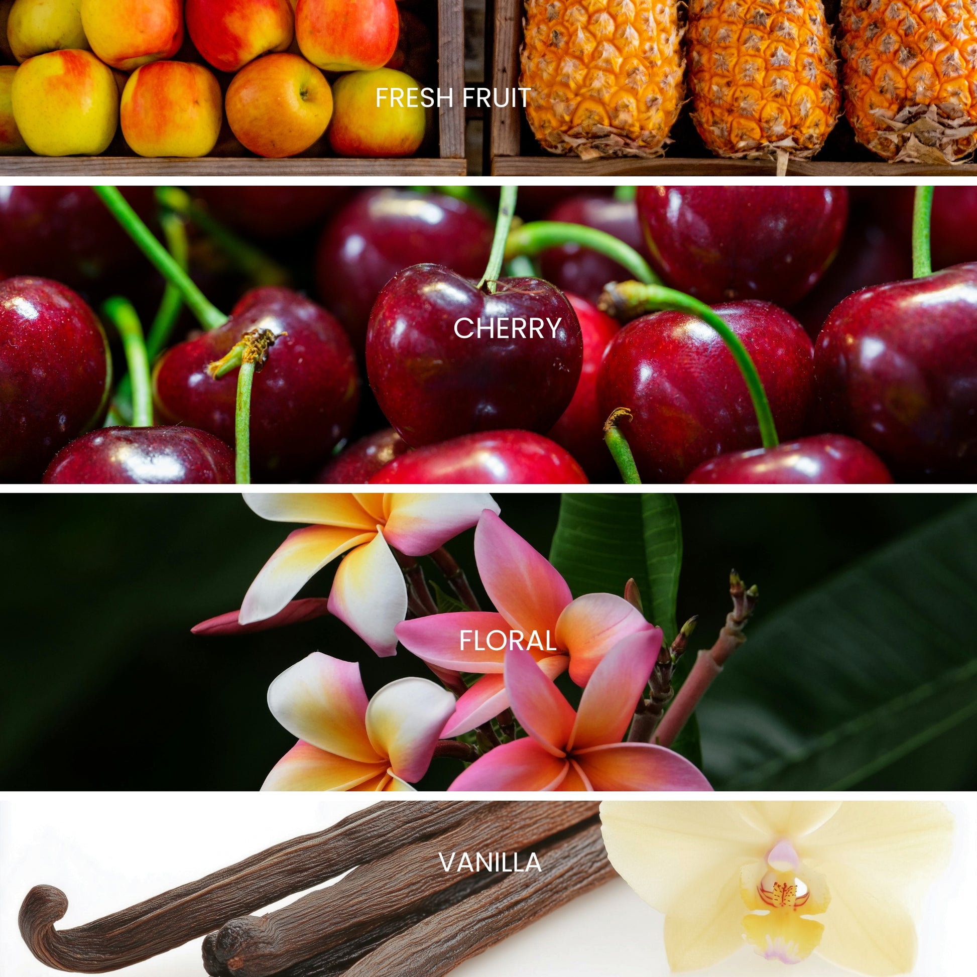 scent profile of the scent