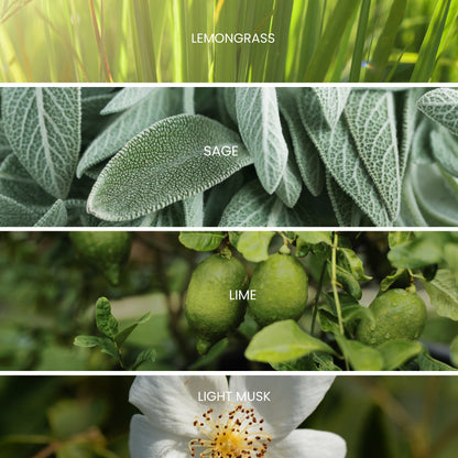 bali lemongrass scent notes in a picture