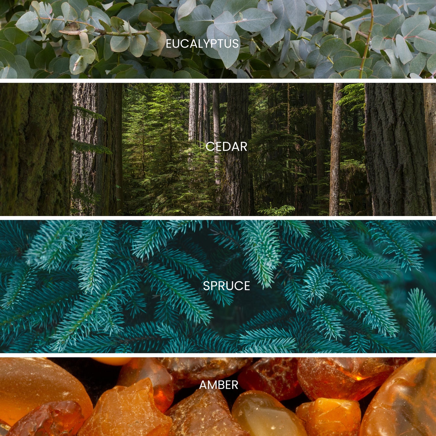 Colorado Spruce Tin Christmas Candle – Holiday Decor & Stocking Stuffer