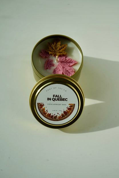 Cashmere Cedar cozy travel candle for fall and winter home fragrance