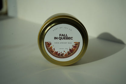 Cedarwood vanilla and musk 4 oz travel scented candle