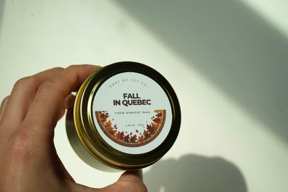 Cashmere Cedar cedarwood travel candle for cozy home fragrance