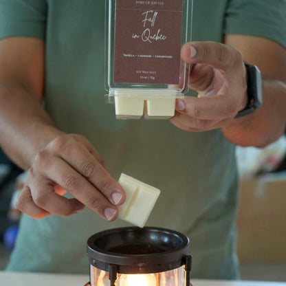 Woodsy scented wax melts for a home wax warmer
