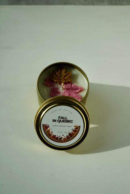 Cashmere Cedar 4 oz travel candle with cedarwood, vanilla and smooth musk