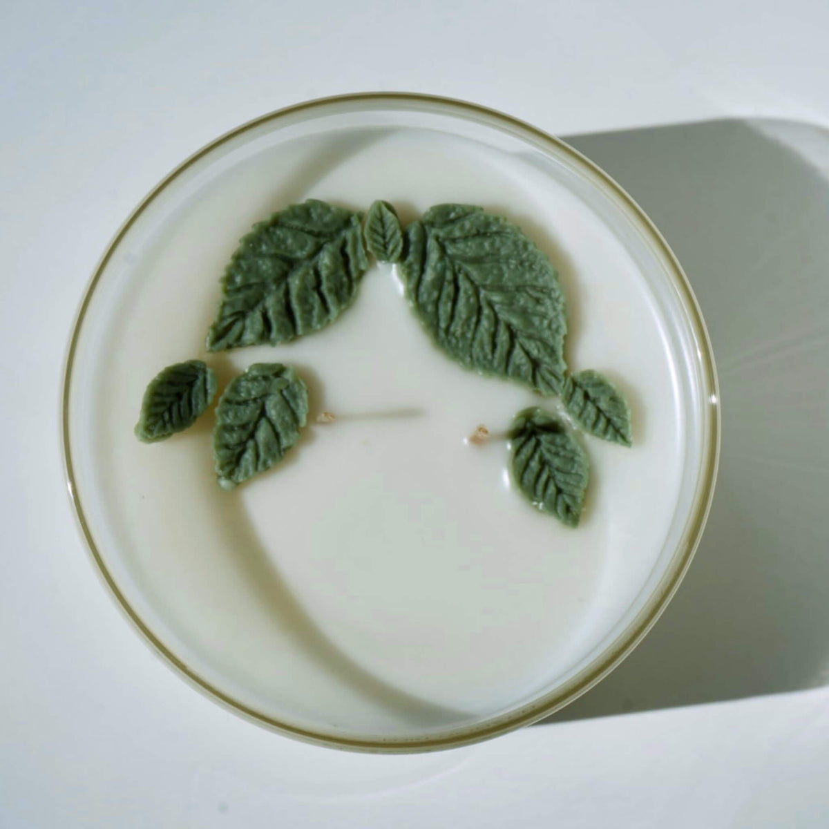 A round white candle with a thin gold rim, featuring a raised green leaf design on the surface and a single wick in the center, photographed from above on a white background.