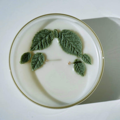A round white candle with a thin gold rim, featuring a raised green leaf design on the surface and a single wick in the center, photographed from above on a white background.