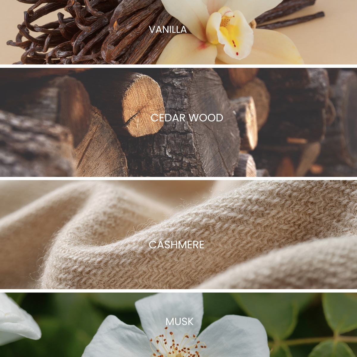 scent desceription with scent notes