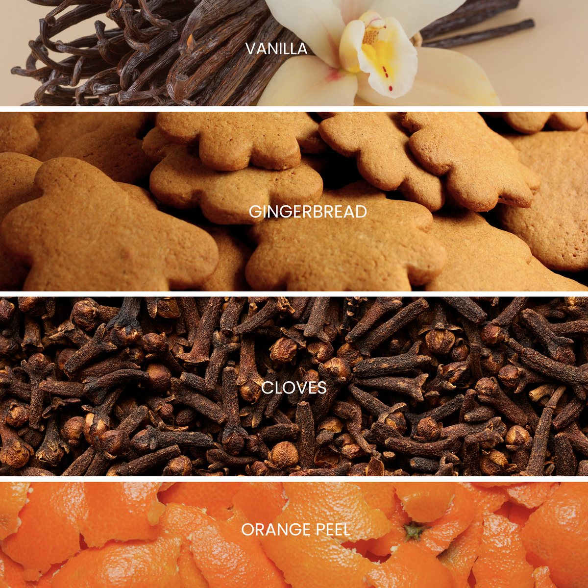 gingerbread scent profile image with scent notes