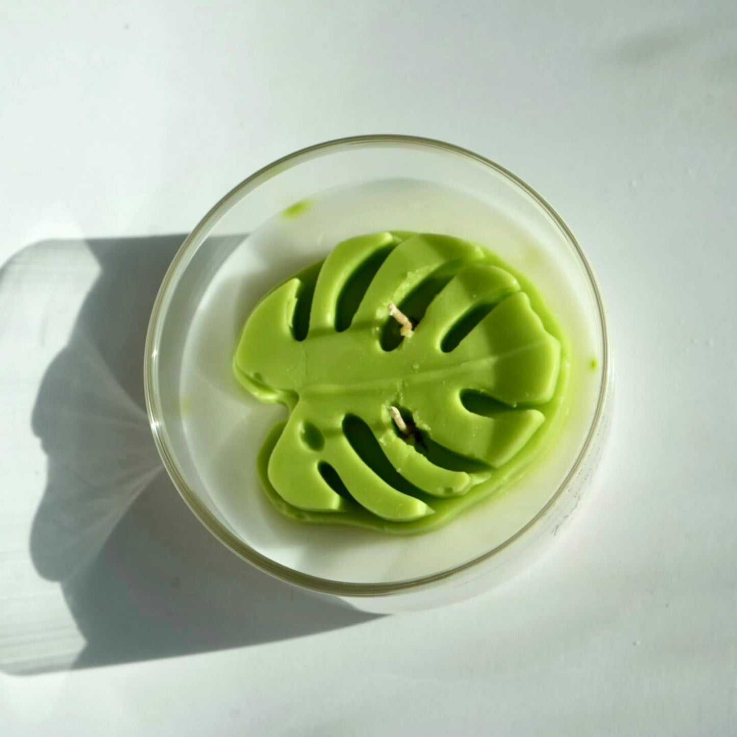 mustera leaf on top f the coconut apricot candle. 