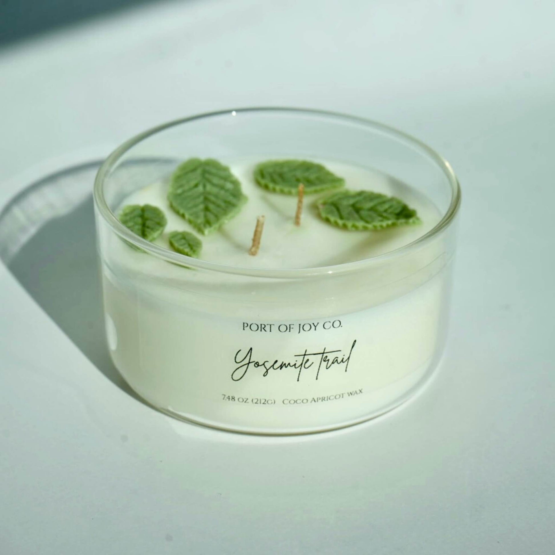 port of joy yosemite trail candle in a glass jar