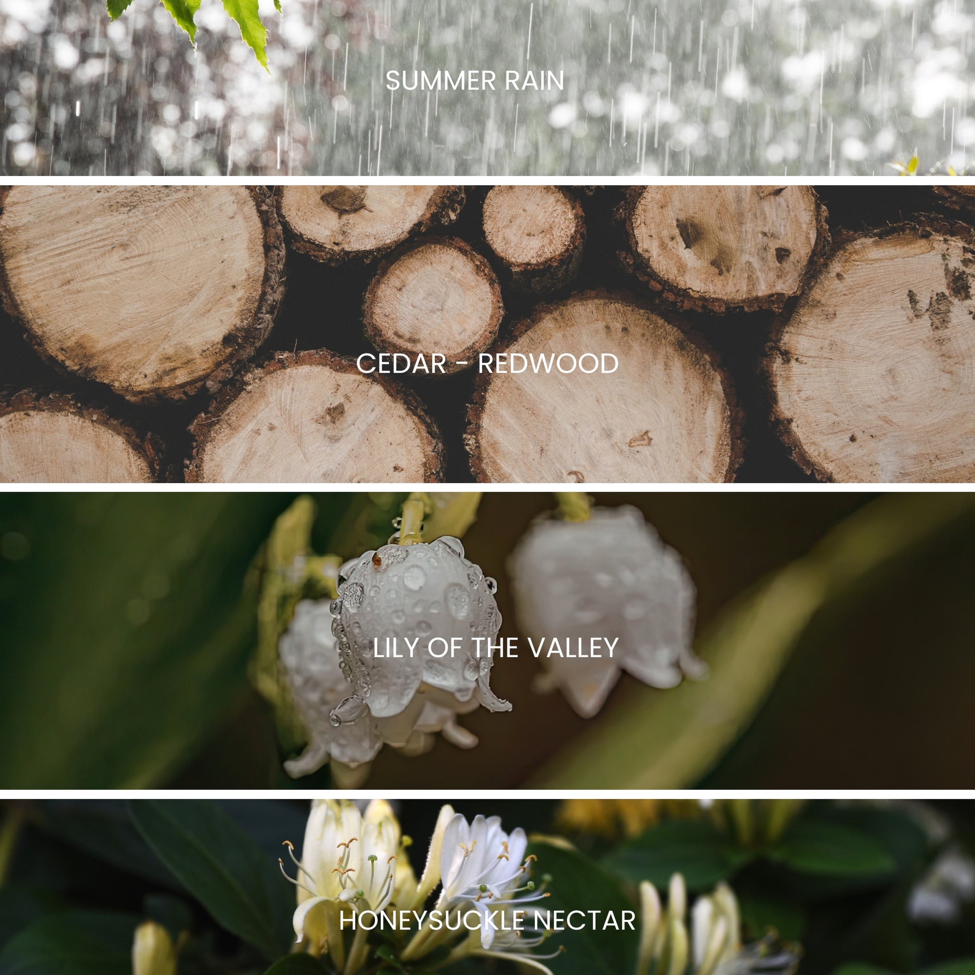 yosemite scent profile picture