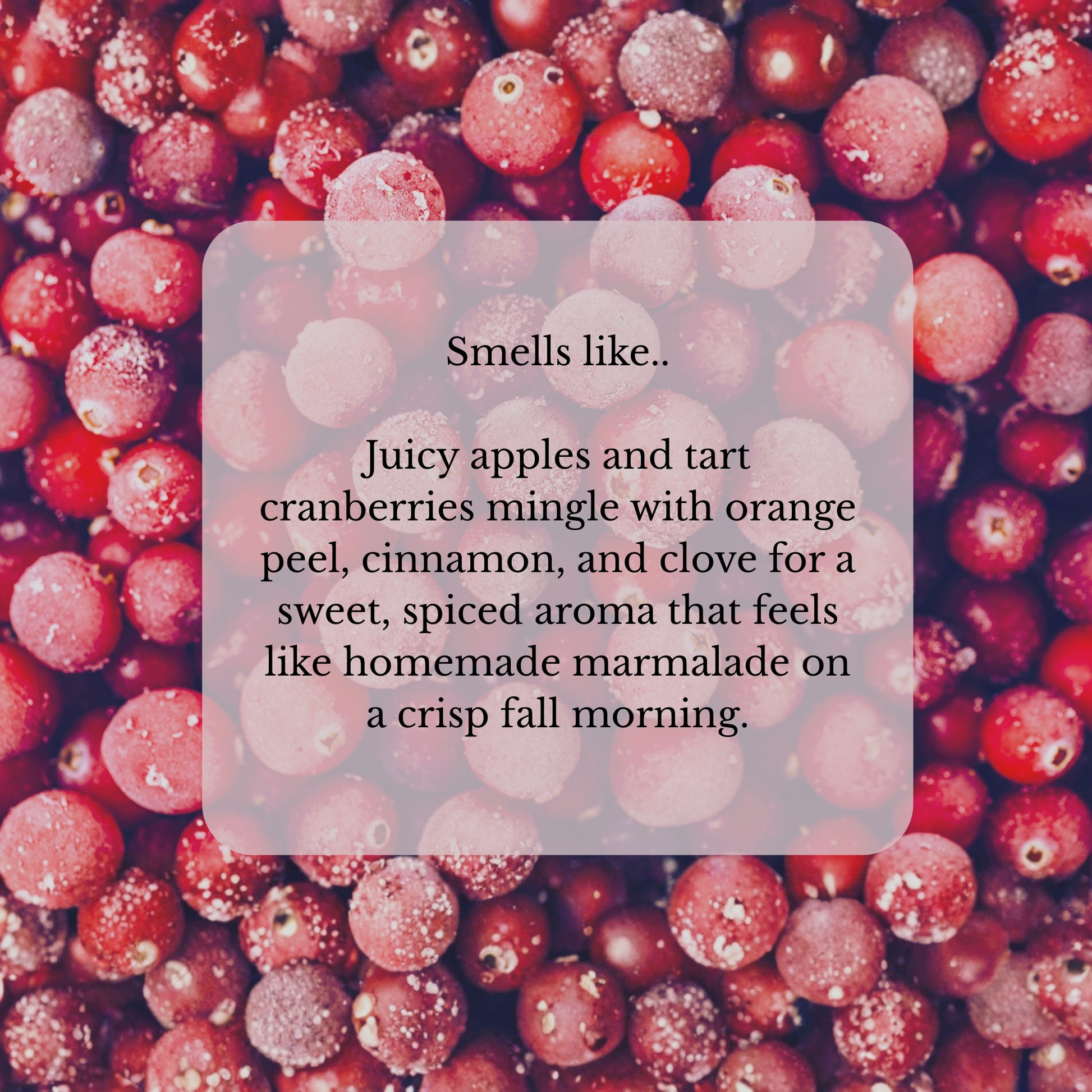 Scent chart showing Cape Cod Cranberry candle fragrance notes of cranberry, apple, and spice — a warm and cozy holiday candle scent for Christmas.