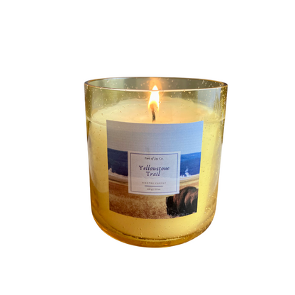 Yellowstone Trail candle by Port of Joy, the best scented gift for friends who love nature.