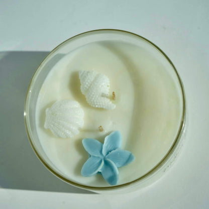 Coastal scented candle with sea salt and eucalyptus