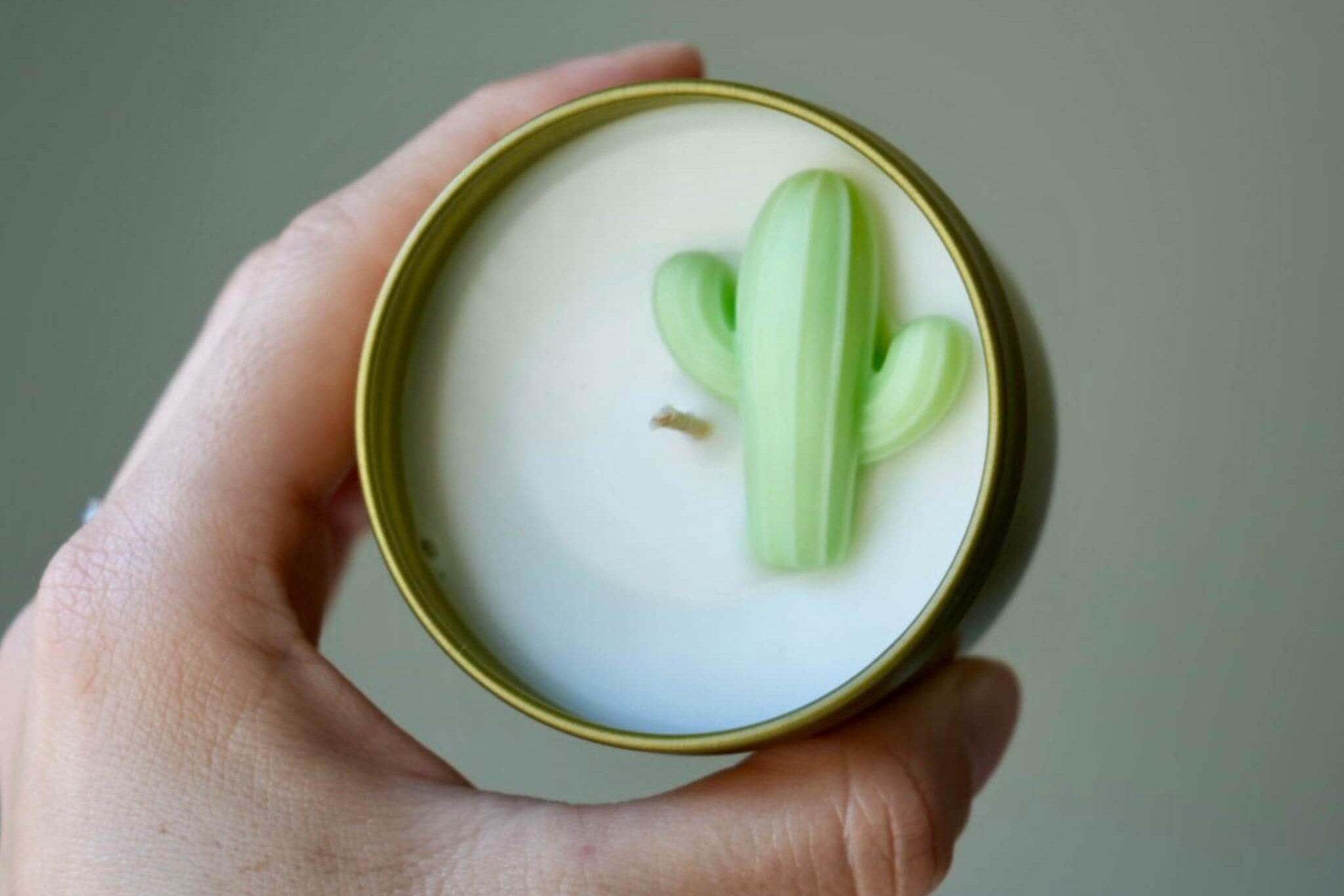 Hand holding a candle with a cactus design on a plain background